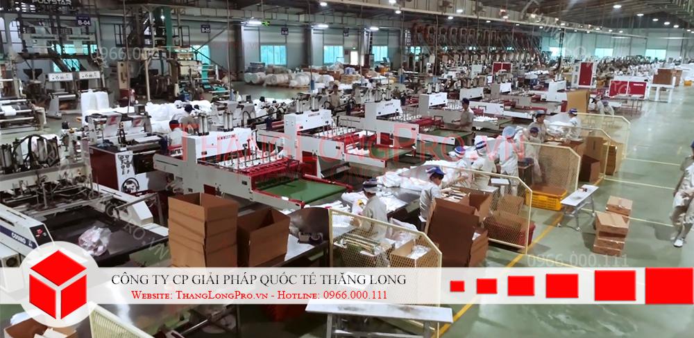 Sản xuất cuộn PE xuất khẩu